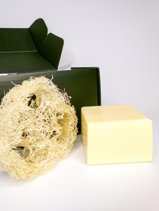 Antibacterial Hand & Dish Tallow Soap w/Homegrown Loofah