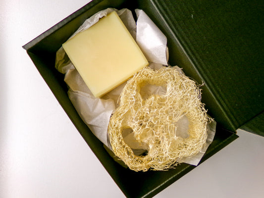 Antibacterial Hand & Dish Tallow Soap w/Homegrown Loofah