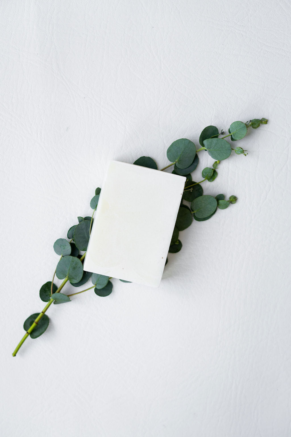 The Cleansing Bar Kit